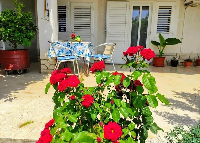 Mira Apartament