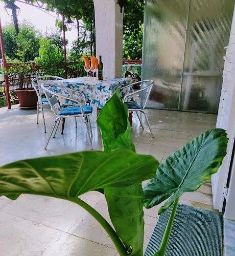Mira Apartament Novi Vinodolski