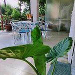Mira Apartman Novi Vinodolski
